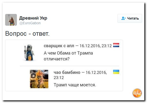 "Мыздобулы" в картинках. Смешных и не очень... 17-12-2016 "Мыздобулы" в картинках. Смешных и не очень... 17-12-2016