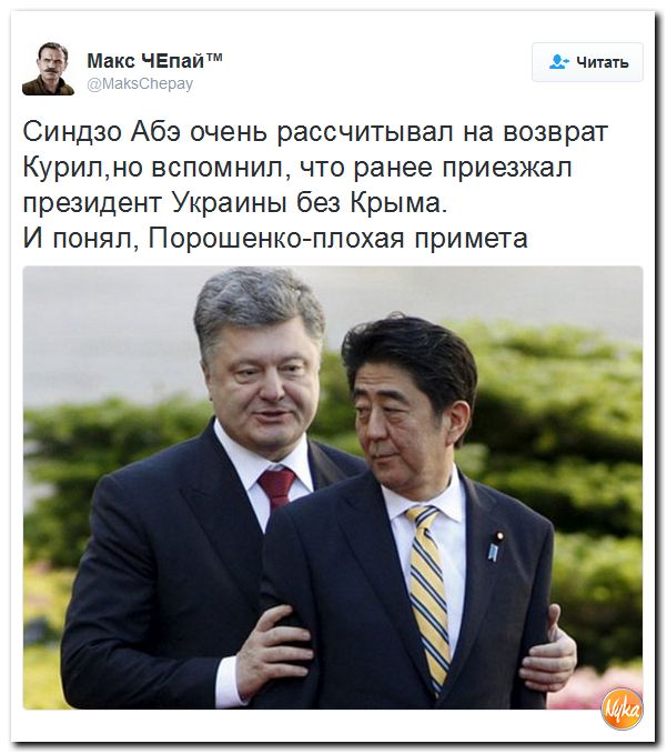 "Мыздобулы" в картинках. Смешных и не очень... 17-12-2016 "Мыздобулы" в картинках. Смешных и не очень... 17-12-2016