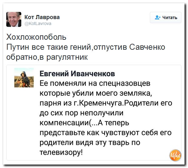"Мыздобулы" в картинках. Смешных и не очень... 18-12-2016