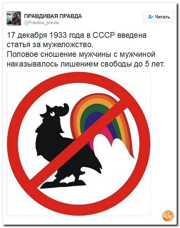 "Мыздобулы" в картинках. Смешных и не очень... 18-12-2016