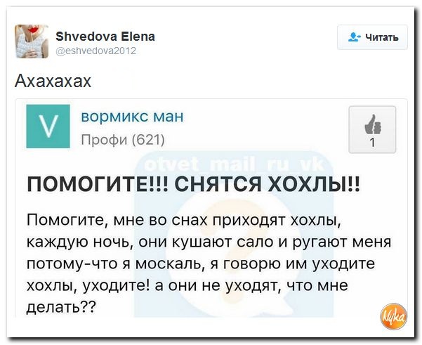 "Мыздобулы" в картинках. Смешных и не очень... 18-12-2016