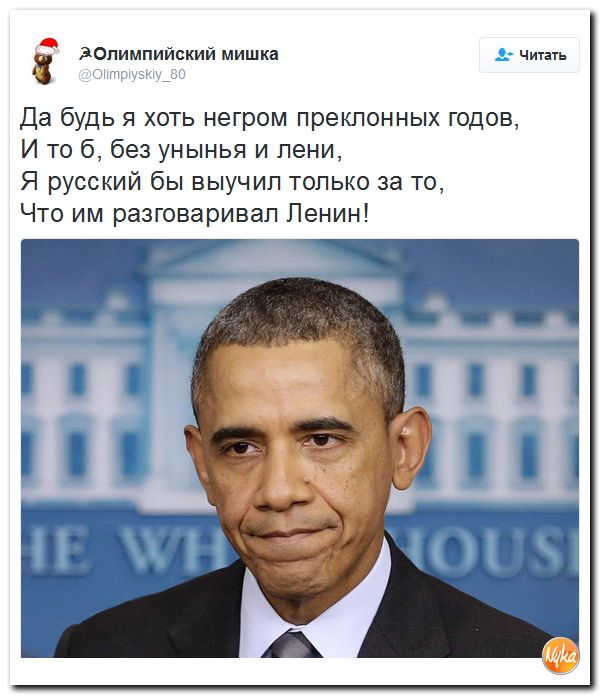 "Мыздобулы" в картинках. Смешных и не очень... 18-12-2016