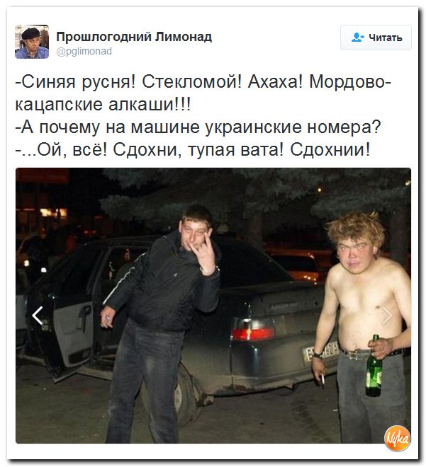 "Мыздобулы" в картинках. Смешных и не очень... 18-12-2016
