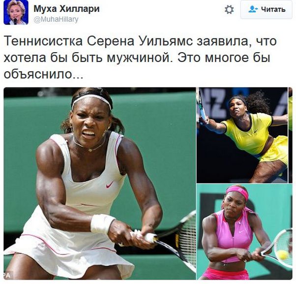 "Мыздобулы" в картинках. Смешных и не очень... 18-12-2016 "Мыздобулы" в картинках. Смешных и не очень... 18-12-2016