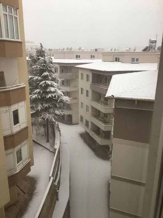 Первый снег в Алеппо. Первый снег в Алеппо.