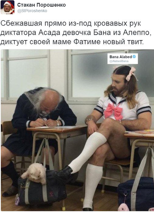 "Мыздобулы" в картинках. Смешных и не очень... 22-12-2016