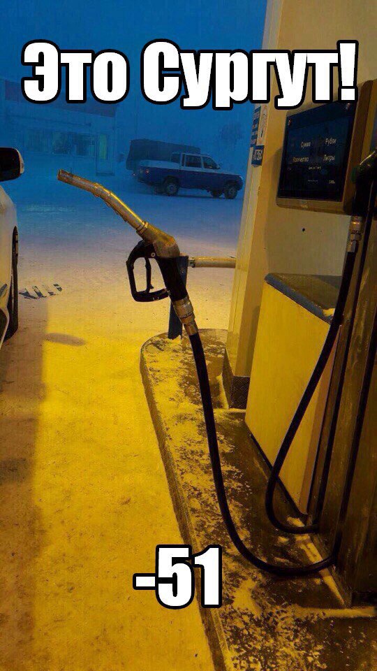 "Мыздобулы" в картинках. Смешных и не очень... 22-12-2016