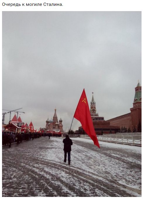 "Мыздобулы" в картинках. Смешных и не очень... 22-12-2016