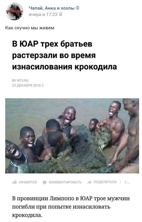 "Мыздобулы" в картинках. Смешных и не очень... 22-12-2016