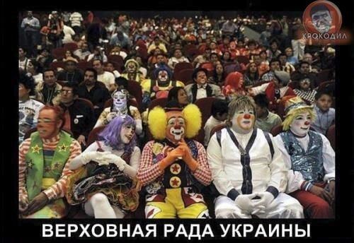 "Мыздобулы" в картинках. Смешных и не очень... 22-12-2016