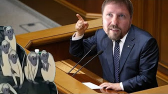 Реформаторы против Шария, неправильный иммунитет