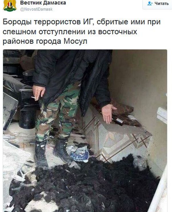 "Мыздобулы" в картинках. Смешных и не очень... 23-12-2016