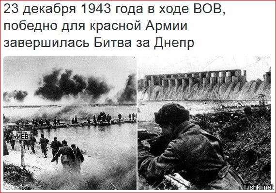 "Мыздобулы" в картинках. Смешных и не очень... 23-12-2016