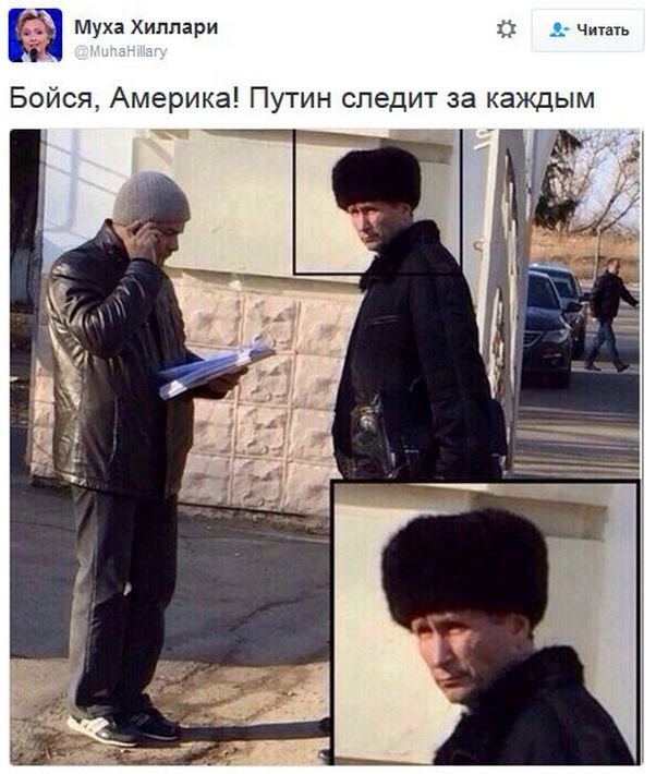 "Мыздобулы" в картинках. Смешных и не очень... 23-12-2016
