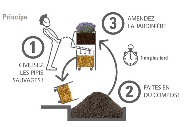 С 2017 года парижане смогут безнаказанно писать в городские клумбы С 2017 года парижане смогут безнаказанно писать в городские клумбы
