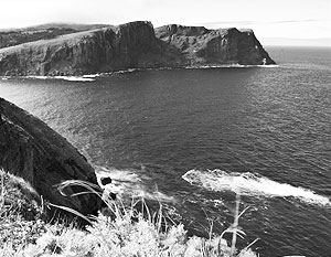 Японские СМИ: Россия использует Курилы, чтобы поссорить Токио и США