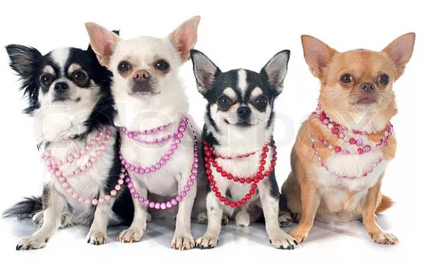 Абсурдные новости. 30 ноября 2016 года Абсурдные новости. 30 ноября 2016 года