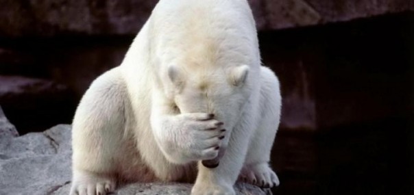 Когнитивный диссонанс