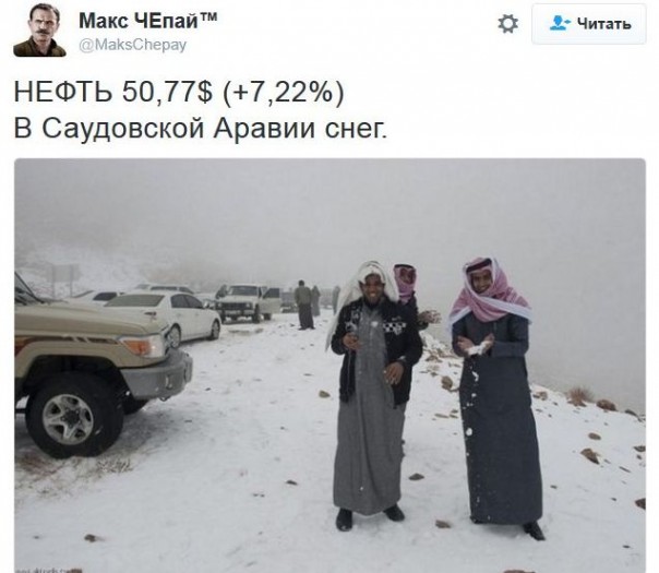 "Мыздобулы" в картинках. Смешных и не очень... 1-12-2016