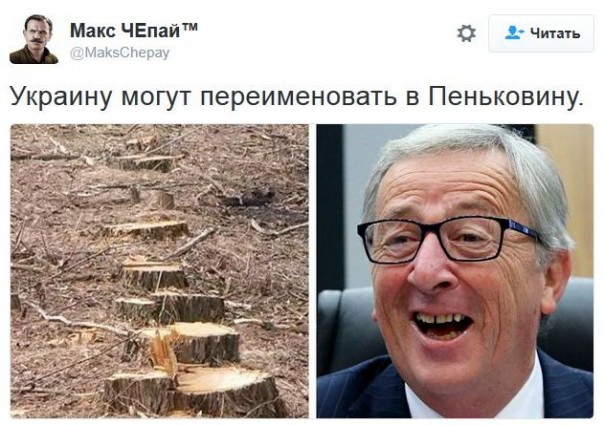 "Мыздобулы" в картинках. Смешных и не очень... 1-12-2016