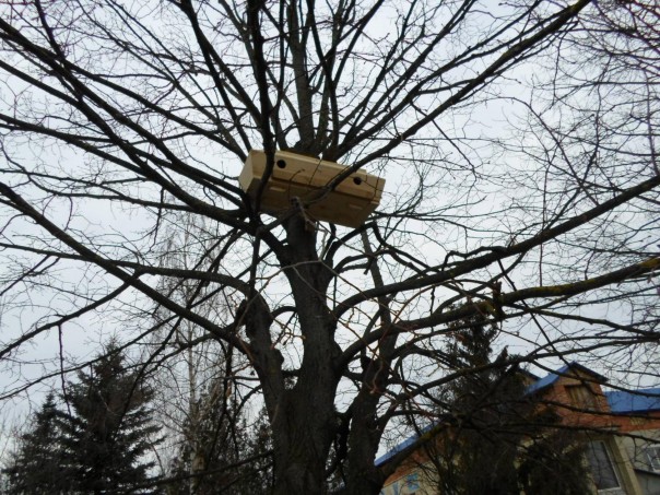 Я думал что видел все... Я ошибался Я думал что видел все... Я ошибался