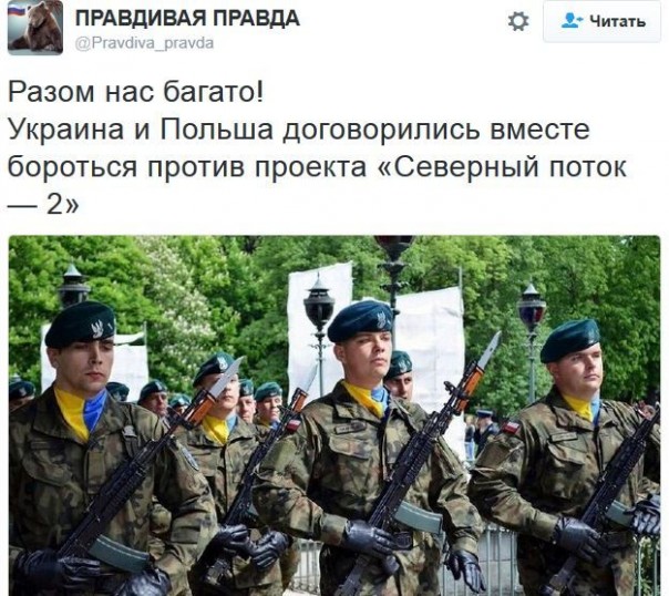 "Мыздобулы" в картинках. Смешных и не очень... 4-12-2016