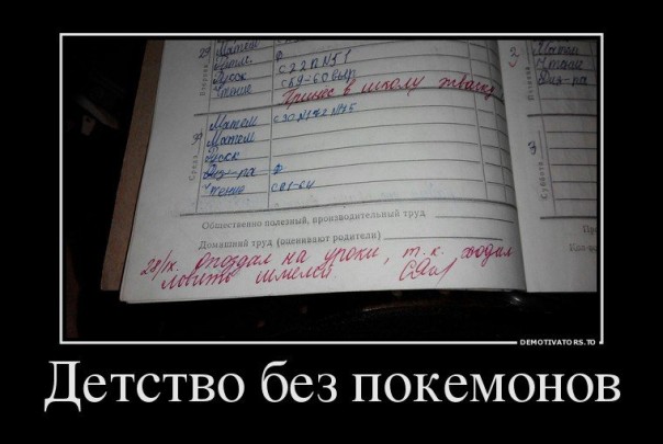 "Мыздобулы" в картинках. Смешных и не очень... 5-12-2016