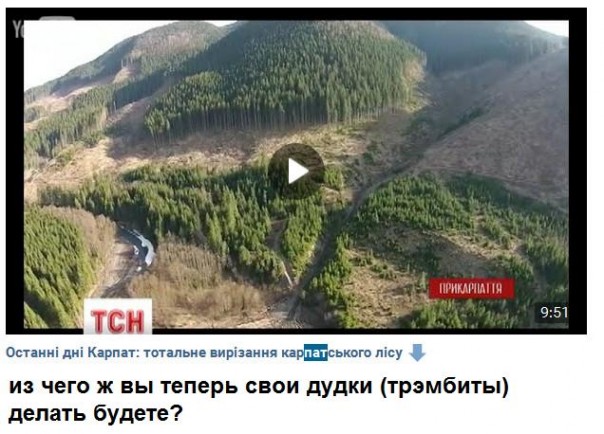 "Мыздобулы" в картинках. Смешных и не очень... 5-12-2016