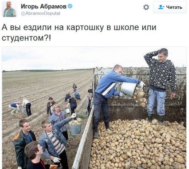 "Мыздобулы" в картинках. Смешных и не очень... 5-12-2016