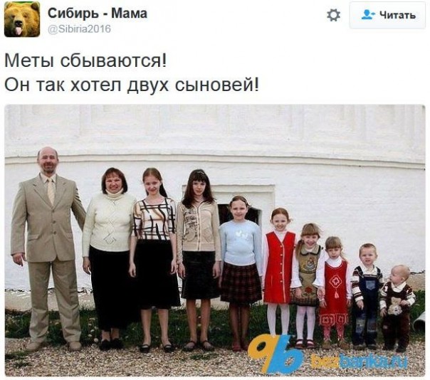 "Мыздобулы" в картинках. Смешных и не очень... 5-12-2016