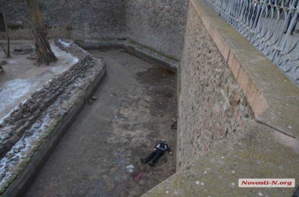 Из-за повестки в военкомат николаевец покончил жизнь самоубийством, прыгнув в вольер с тиграми в зоопарке