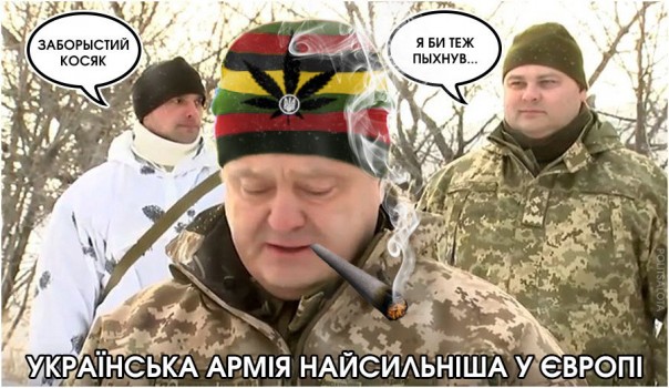"Мыздобулы" в картинках. Смешных и не очень... 8-12-2016