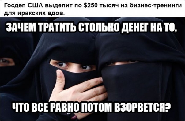 "Мыздобулы" в картинках. Смешных и не очень... 10-12-2016