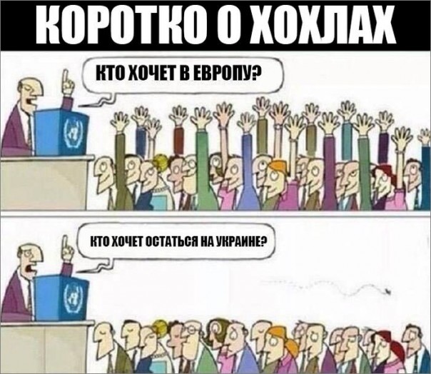 "Мыздобулы" в картинках. Смешных и не очень... 10-12-2016