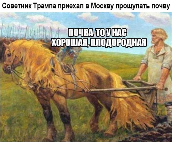 "Мыздобулы" в картинках. Смешных и не очень... 10-12-2016