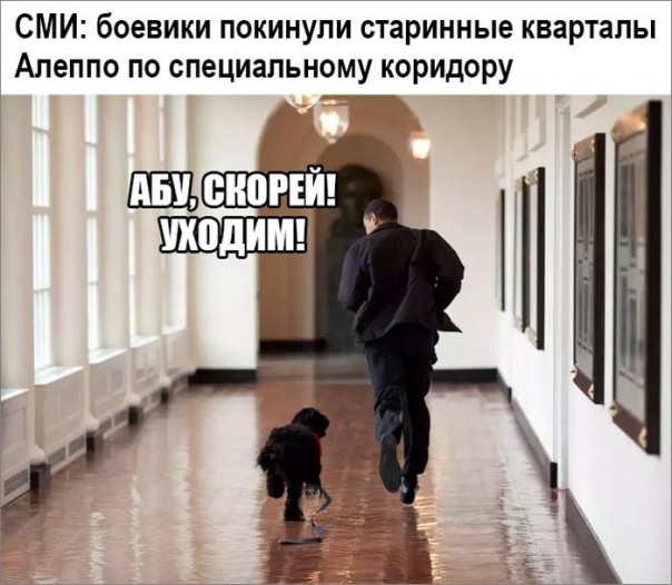 "Мыздобулы" в картинках. Смешных и не очень... 10-12-2016