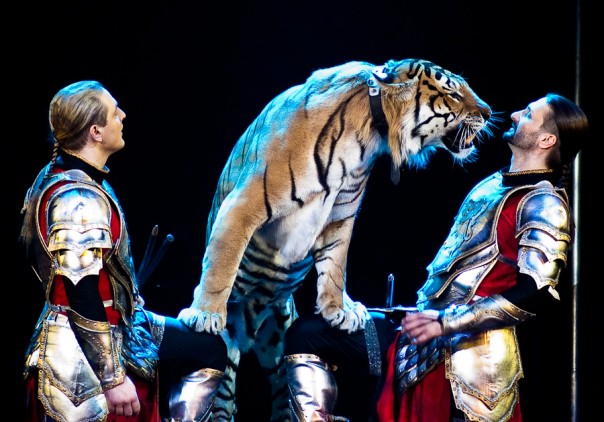 Легендарные дрессировщики братья Запашные анонсировали свой приезд в ДНР