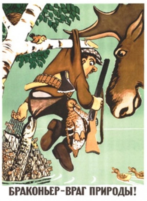 Как бороться с браконьерством в нашей стране? Как бороться с браконьерством в нашей стране?