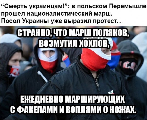 "Мыздобулы" в картинках. Смешных и не очень... 13-12-2016