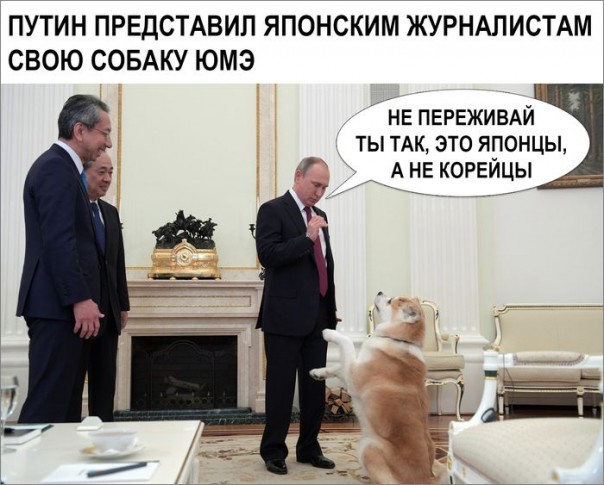 "Мыздобулы" в картинках. Смешных и не очень... 13-12-2016