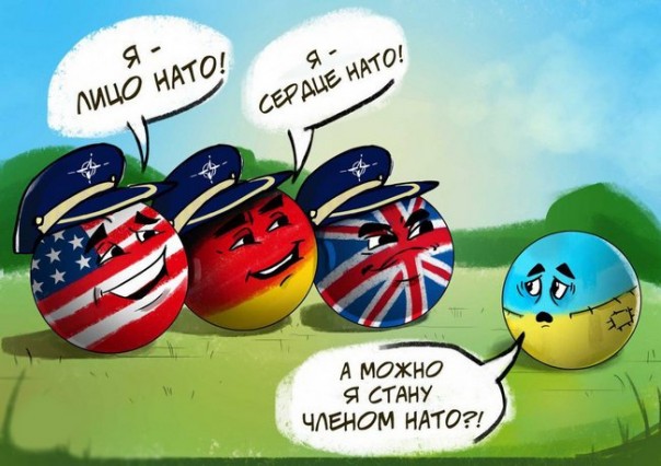 "Мыздобулы" в картинках. Смешных и не очень... 13-12-2016