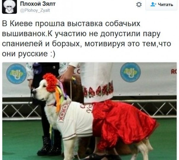 "Мыздобулы" в картинках. Смешных и не очень... 13-12-2016