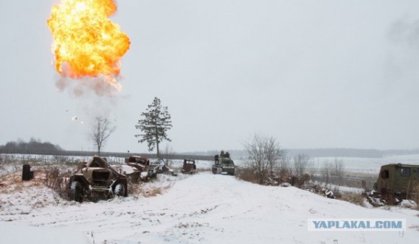 Дольф Лундгрен не прочь купить квартиру в Минске и рассказал правду о Стивене Сигале Дольф Лундгрен не прочь купить квартиру в Минске и рассказал правду о Стивене Сигале