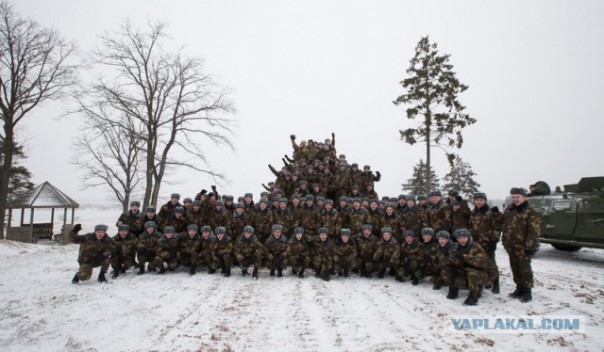 Дольф Лундгрен не прочь купить квартиру в Минске и рассказал правду о Стивене Сигале Дольф Лундгрен не прочь купить квартиру в Минске и рассказал правду о Стивене Сигале