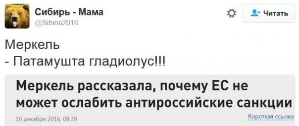 "Мыздобулы" в картинках. Смешных и не очень... 16-12-2016