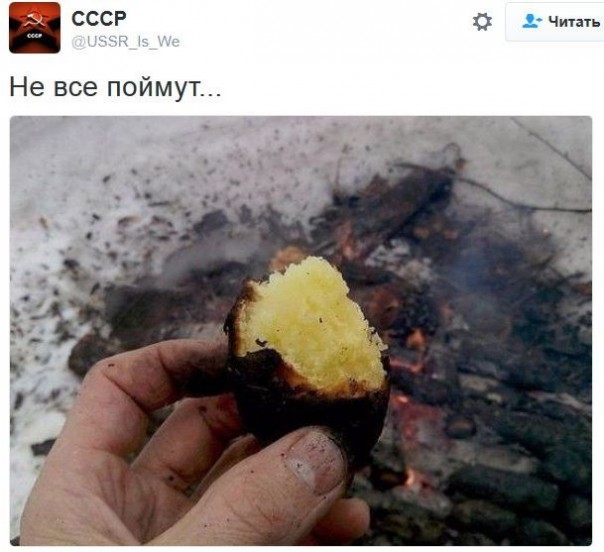 "Мыздобулы" в картинках. Смешных и не очень... 16-12-2016