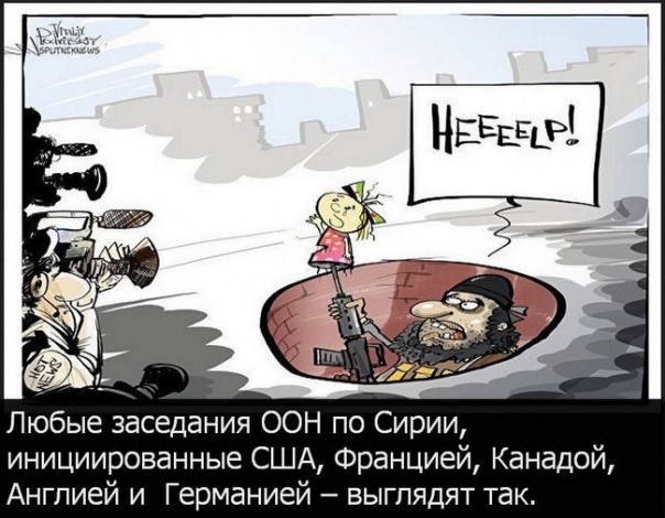 "Мыздобулы" в картинках. Смешных и не очень... 16-12-2016