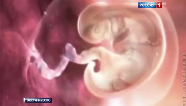 Прорыв в медицине или бунт против Бога: британцы узаконили новый способ зачатия