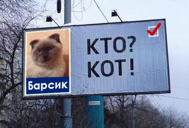  Абсурдные новости. 16 декабря 2016 года