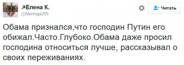 "Мыздобулы" в картинках. Смешных и не очень... 17-12-2016 "Мыздобулы" в картинках. Смешных и не очень... 17-12-2016